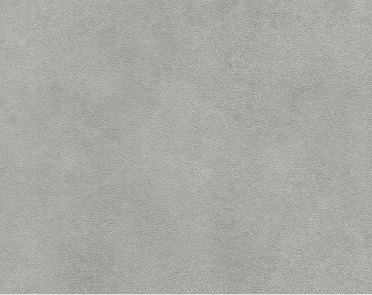 5032 Stone Grain Panel